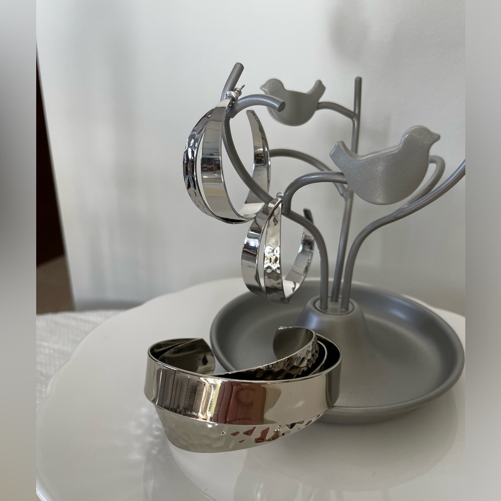 Stella & Dot - Chrome Bracelet and Earrings Set